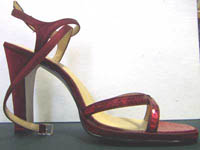 shoe model