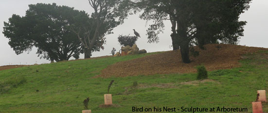 Bird Sculpture at the Canberr Arboretum