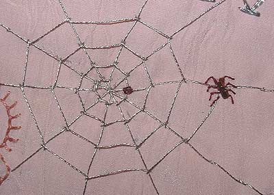 Ant spiders web