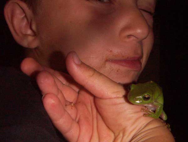 Frog on a hand